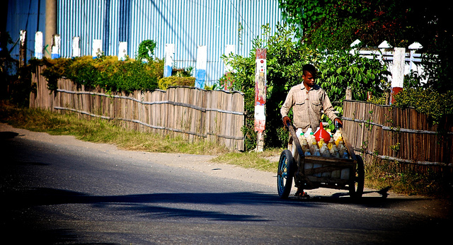 Dezempregu: Biban Ida Kria Instabilidade Iha Timor-Leste post thumbnail image