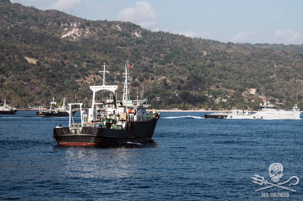 Hong Long Fisheries, Lda: Krime Transnasional Halo Infiltrasaun iha Timor-Leste post thumbnail image